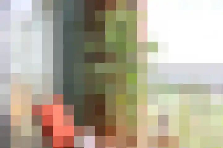 Delftse Jaagpad 38 Leiden thumbnail 29