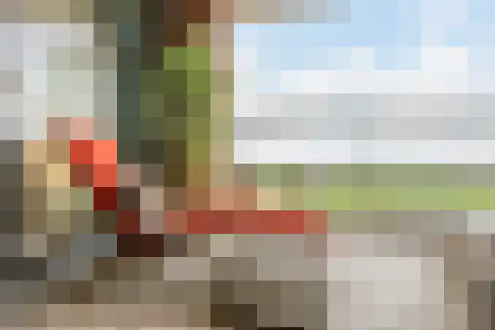 Delftse Jaagpad 38 Leiden thumbnail 30