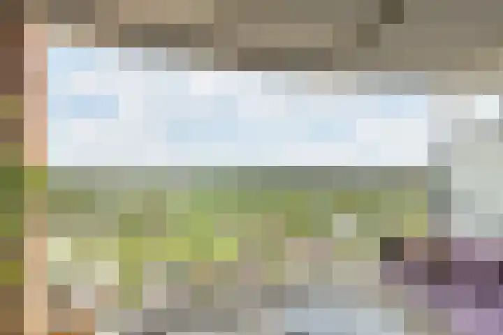 Delftse Jaagpad 38 Leiden thumbnail 31