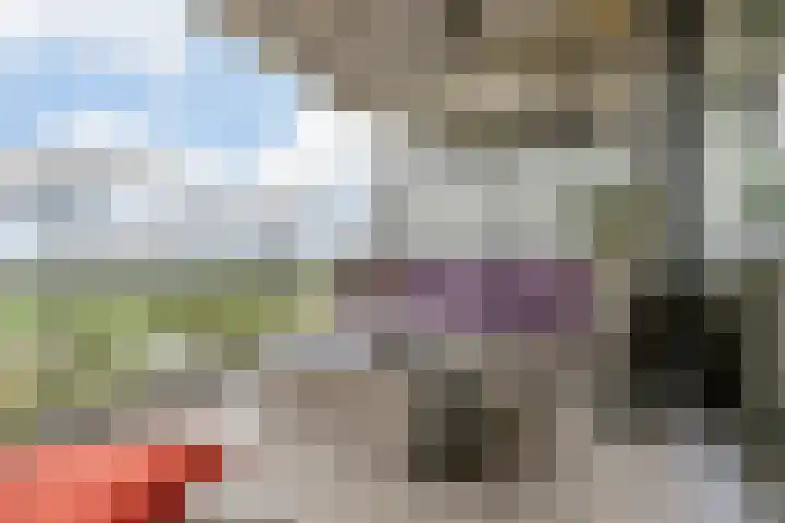 Delftse Jaagpad 38 Leiden thumbnail 32
