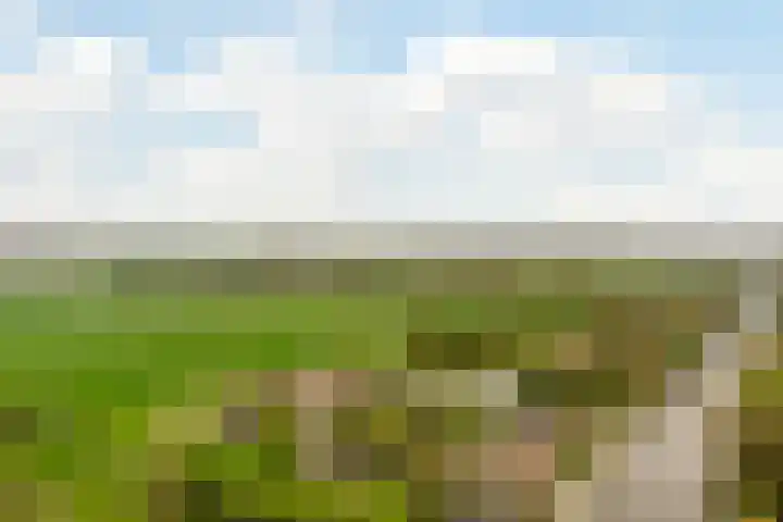 Delftse Jaagpad 38 Leiden thumbnail 33