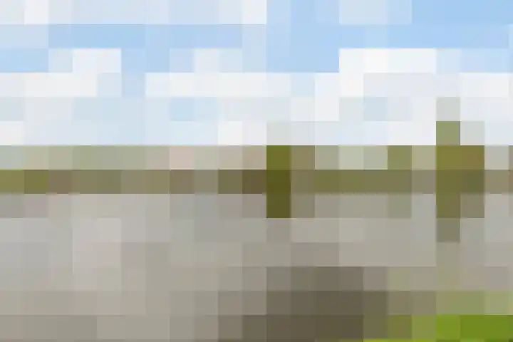 Delftse Jaagpad 38 Leiden thumbnail 35
