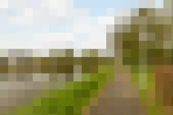 Delftse Jaagpad 38 Leiden thumbnail 36