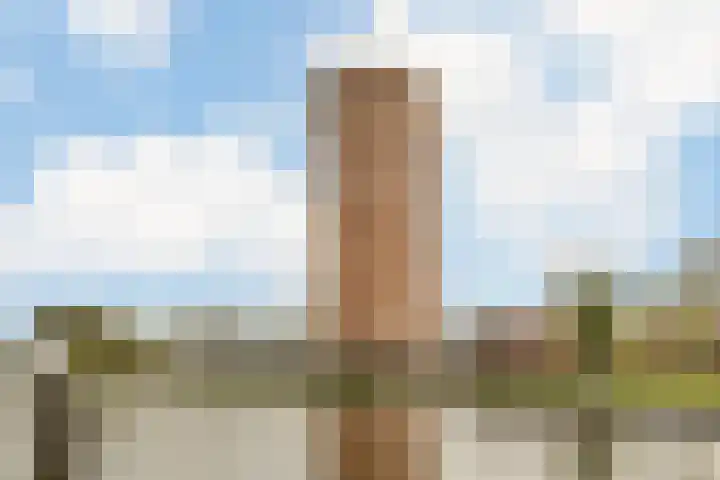 Delftse Jaagpad 38 Leiden thumbnail 37