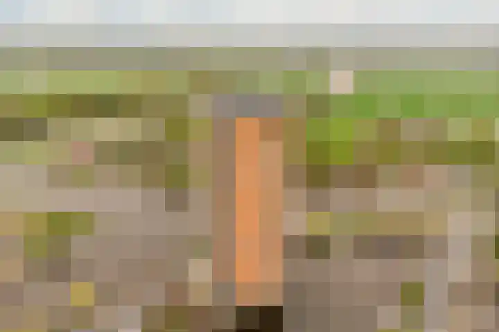 Delftse Jaagpad 38 Leiden thumbnail 38