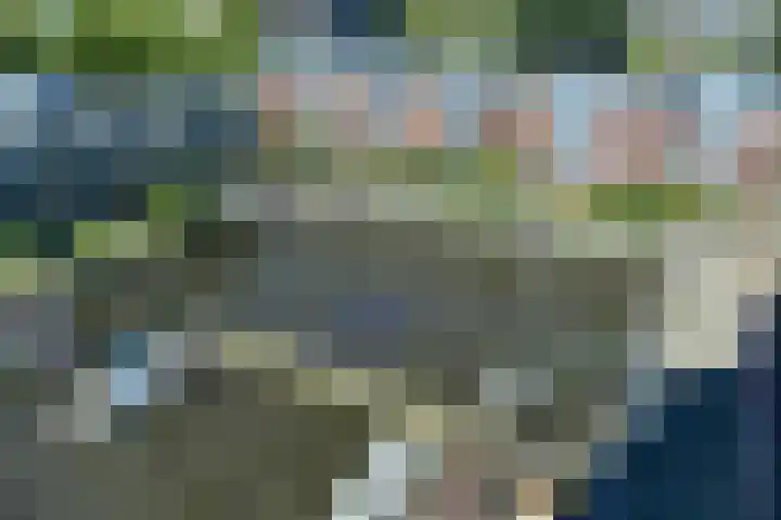 Delftse Jaagpad 38 Leiden thumbnail 39
