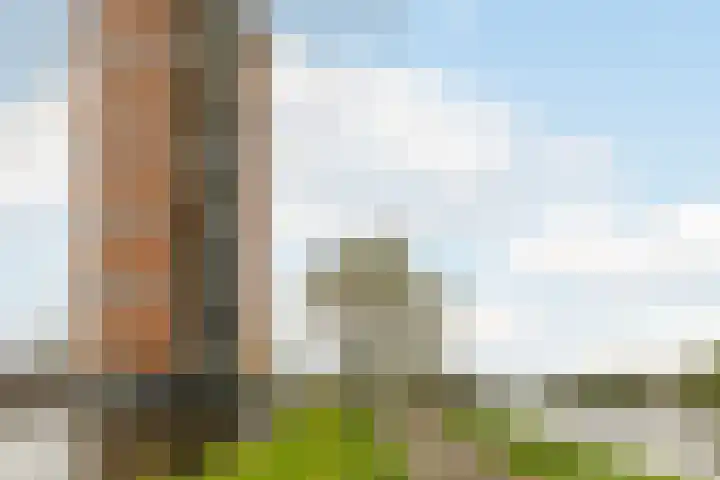 Delftse Jaagpad 38 Leiden thumbnail 4
