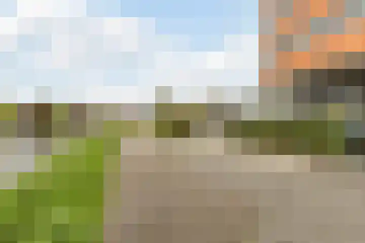 Delftse Jaagpad 38 Leiden thumbnail 5