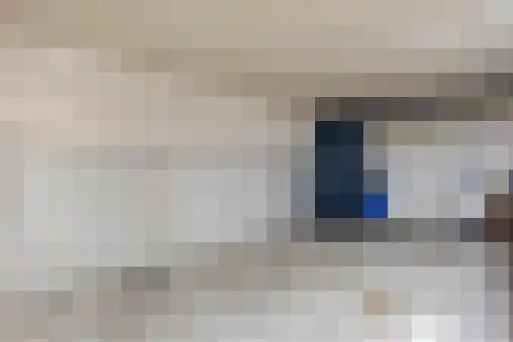 Delftse Jaagpad 38 Leiden thumbnail 8