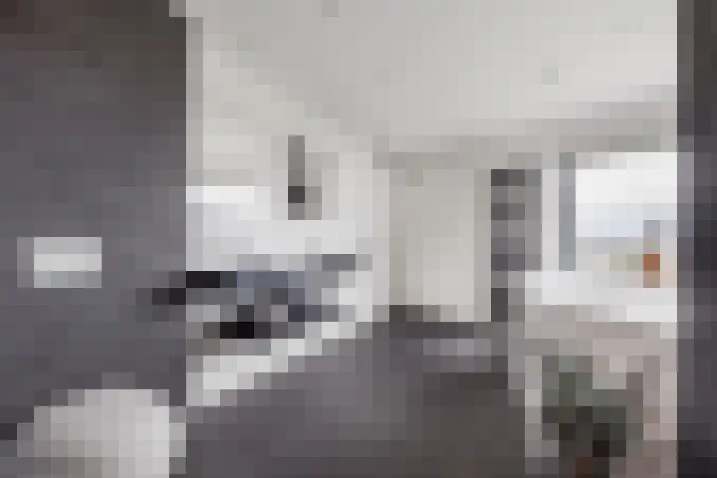 Delftse Jaagpad 42 Leiden thumbnail 15