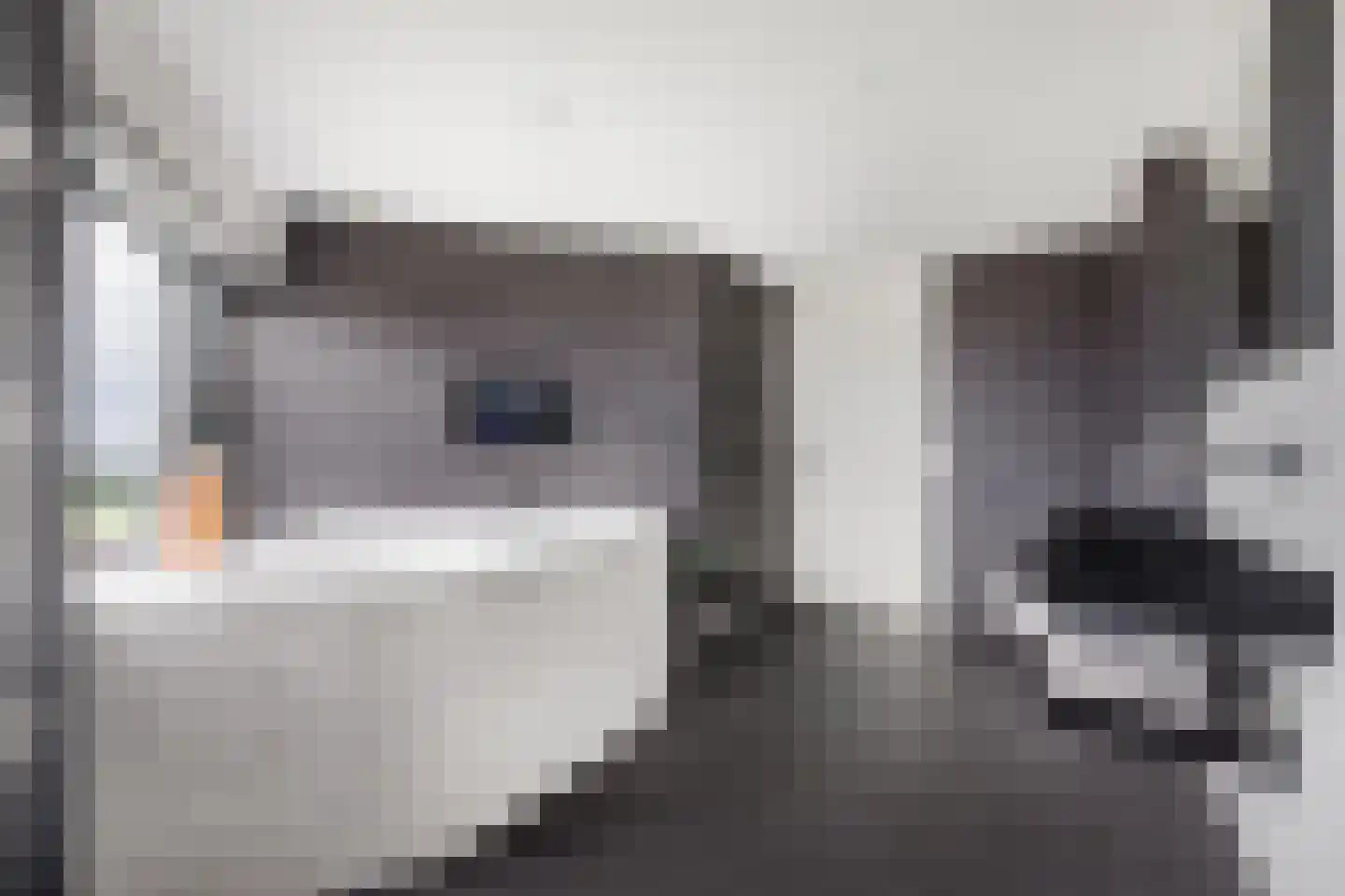 Delftse Jaagpad 42 Leiden thumbnail 18