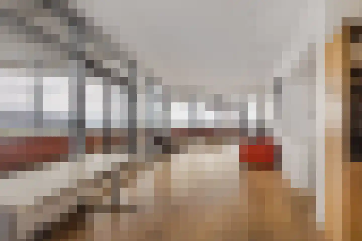 Delftse Jaagpad 42 Leiden thumbnail 20