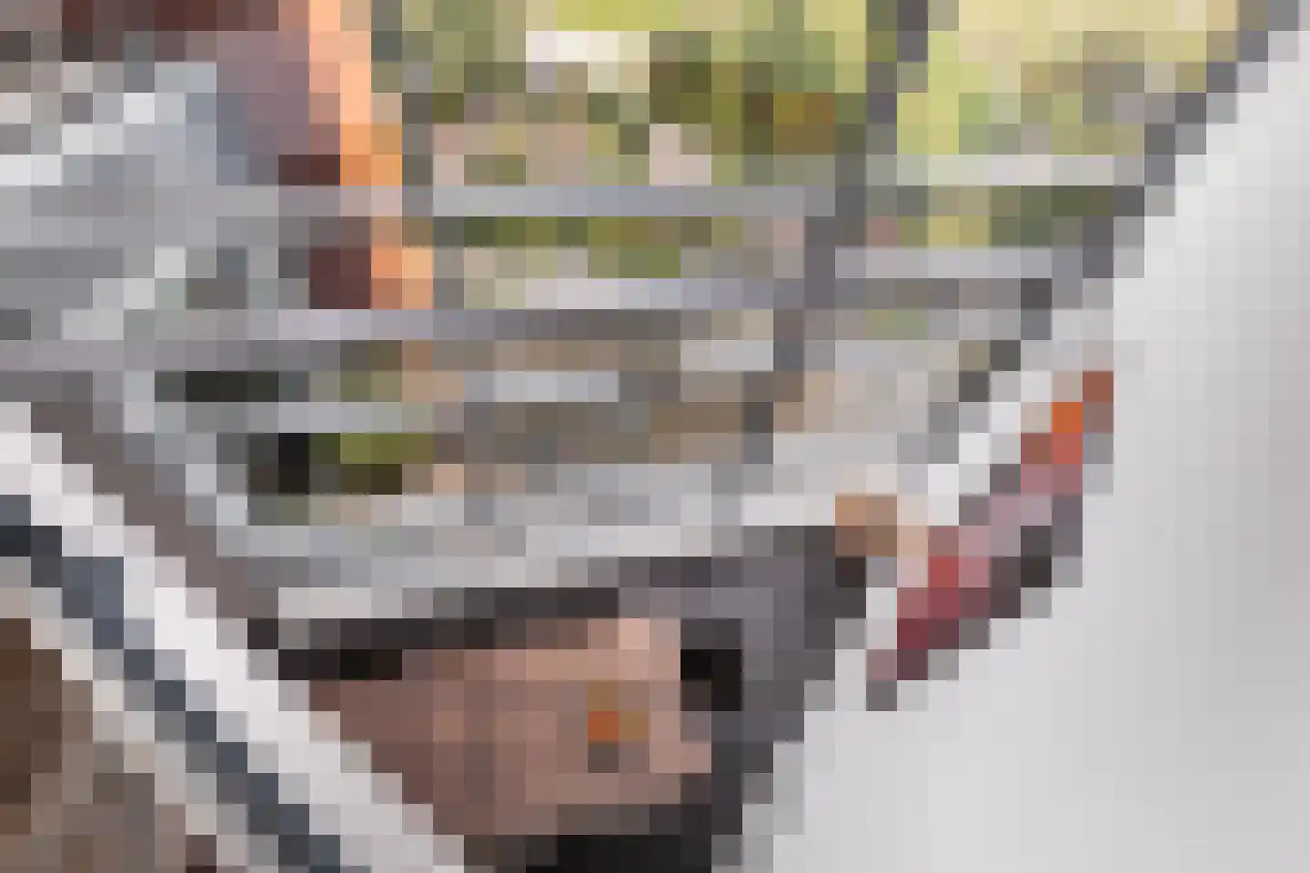 Delftse Jaagpad 42 Leiden thumbnail 22