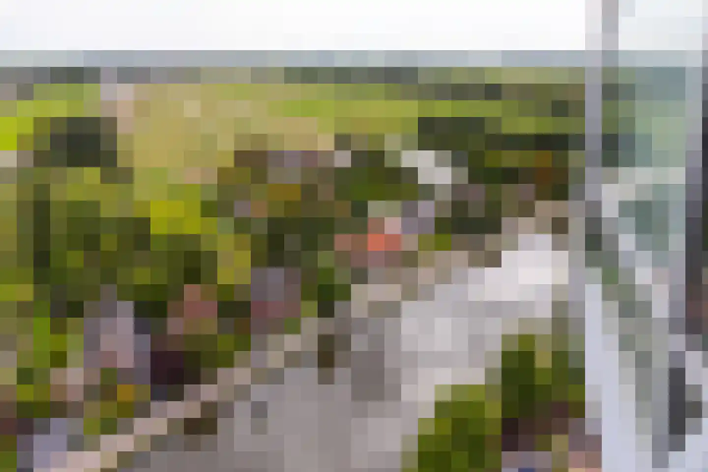 Delftse Jaagpad 42 Leiden thumbnail 28