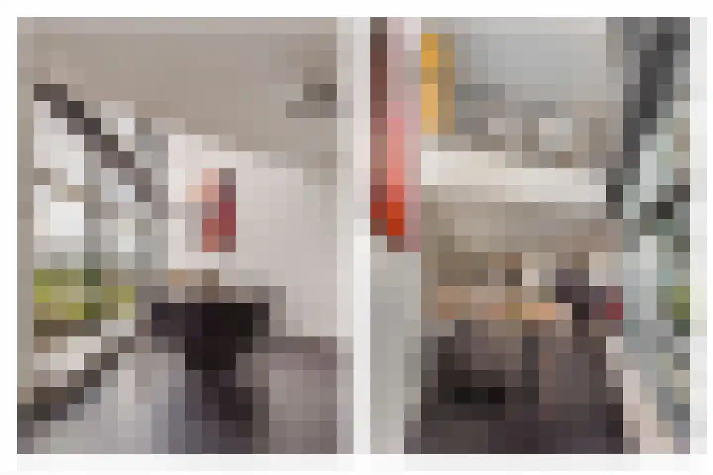 Delftse Jaagpad 42 Leiden thumbnail 8