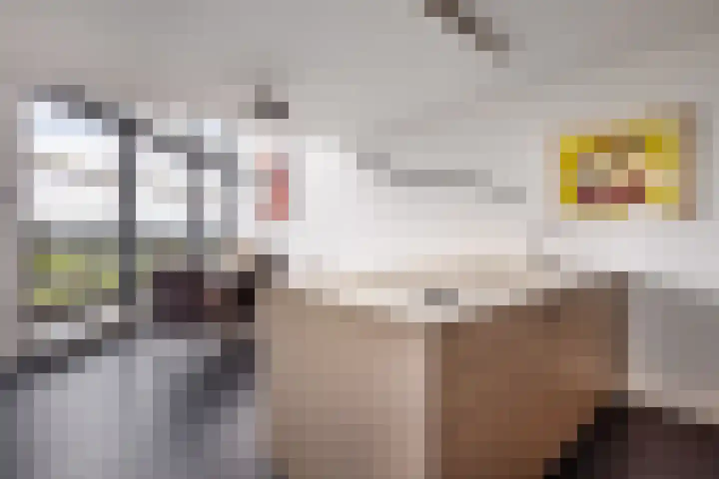 Delftse Jaagpad 42 Leiden thumbnail 9
