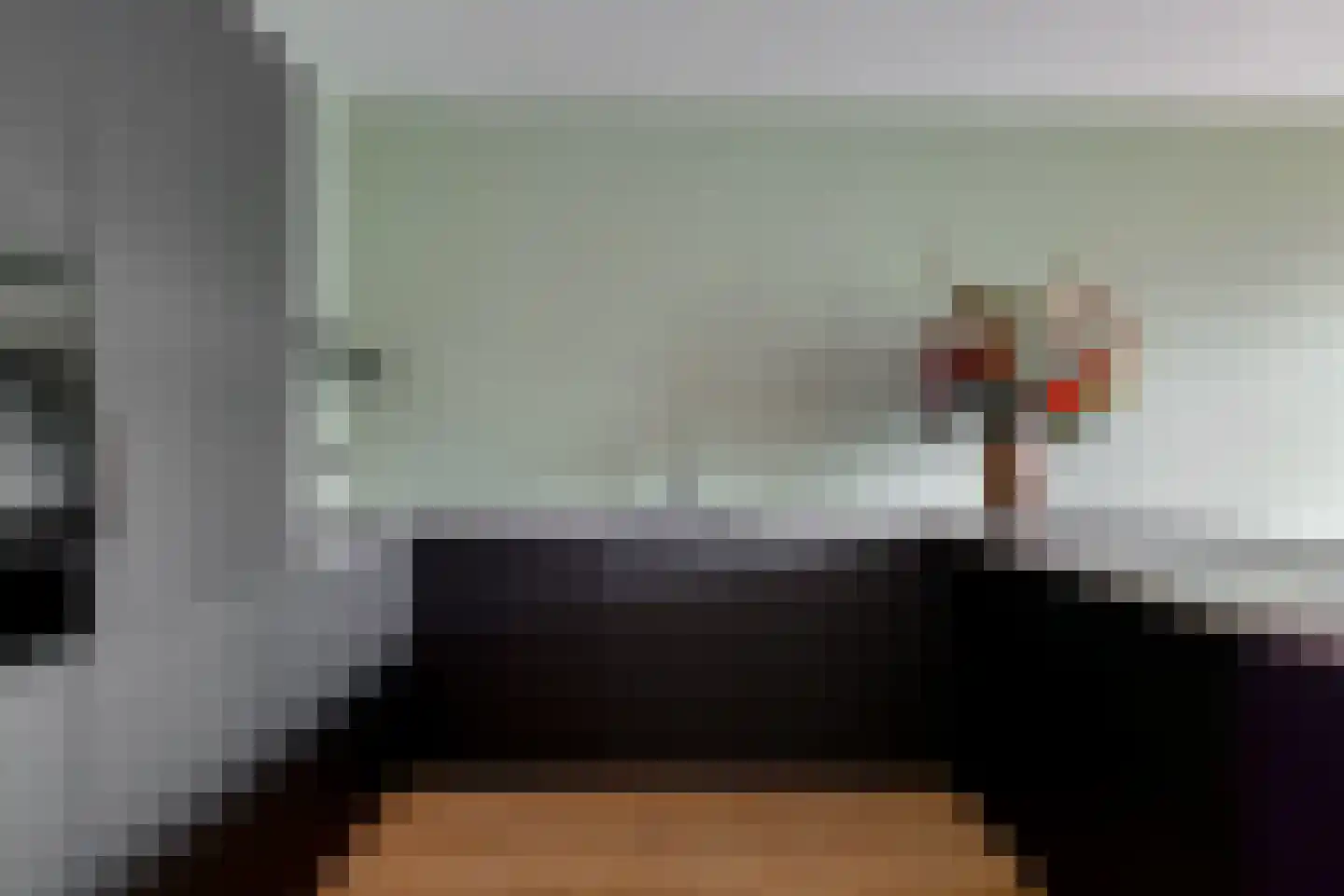 Delftse Jaagpad 7 Leiden thumbnail 16