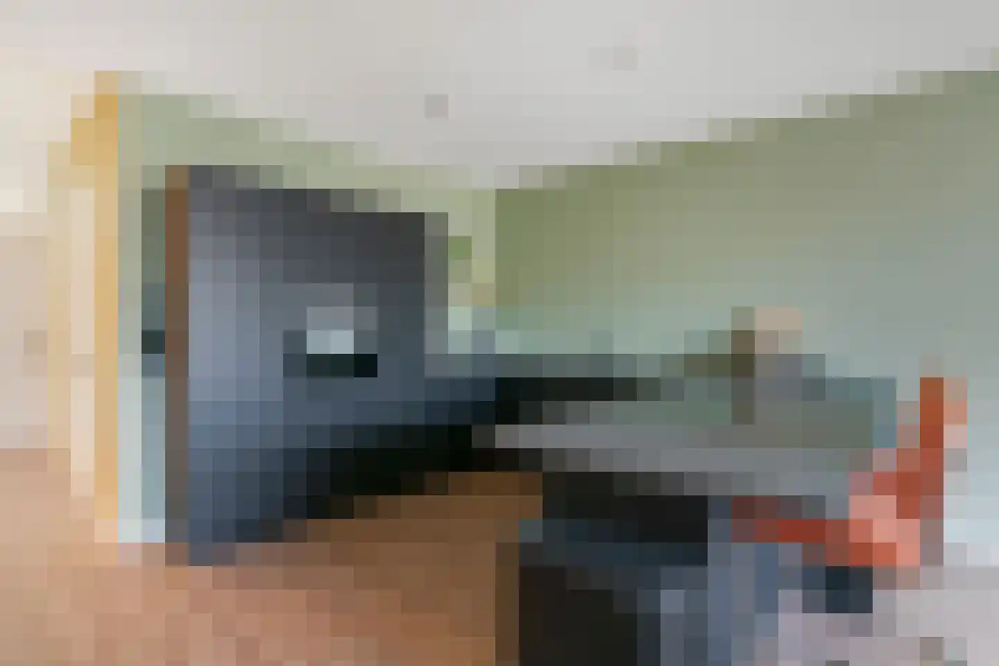 Delftse Jaagpad 7 Leiden thumbnail 16
