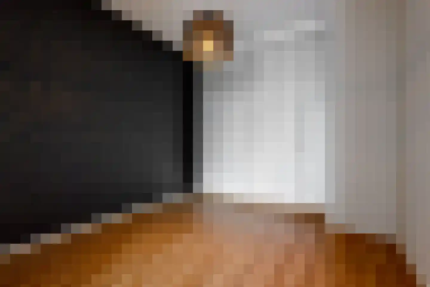 Delftse Jaagpad 7 Leiden thumbnail 21
