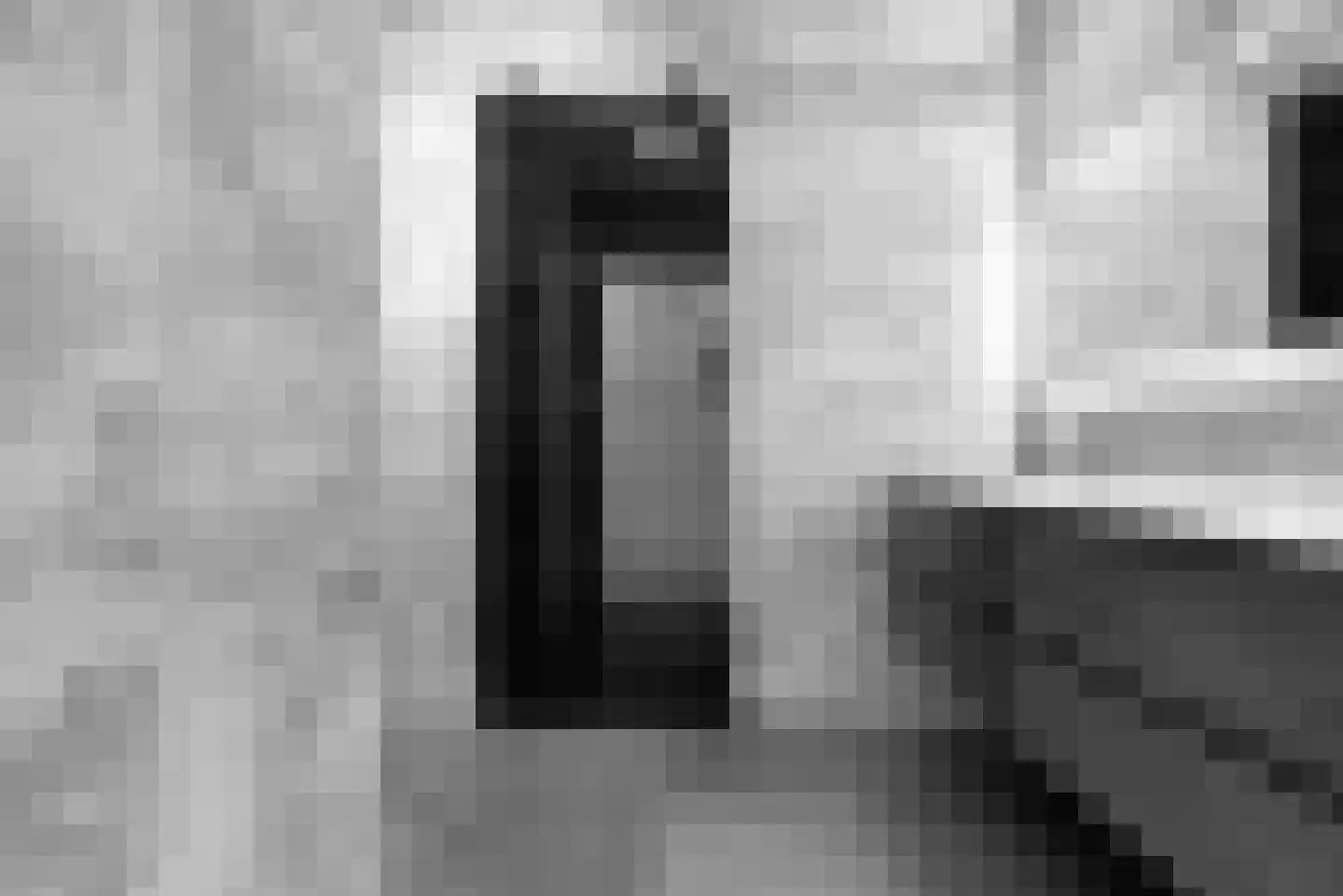 Delftse Jaagpad 7 Leiden thumbnail 22