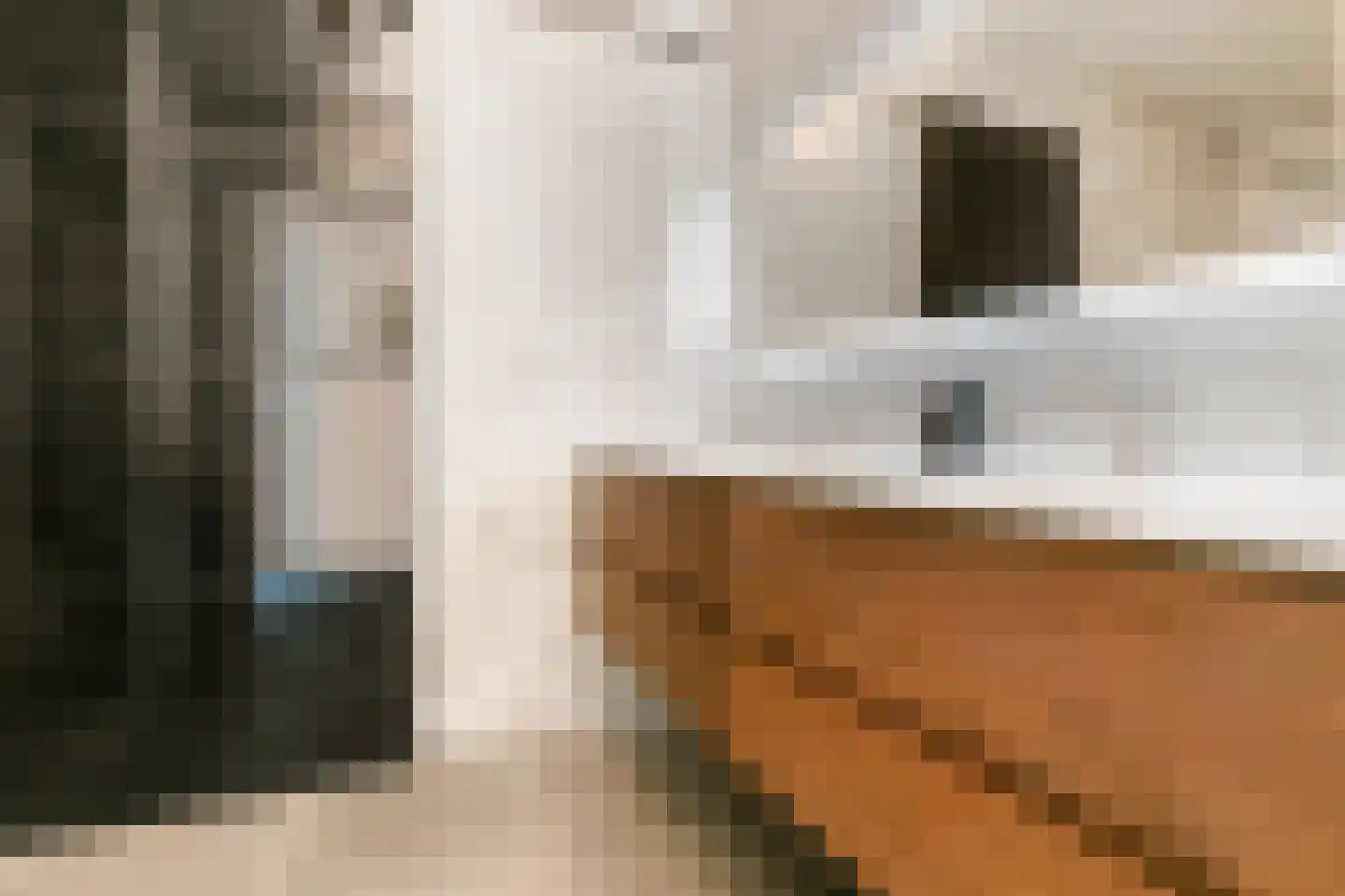 Delftse Jaagpad 7 Leiden thumbnail 23