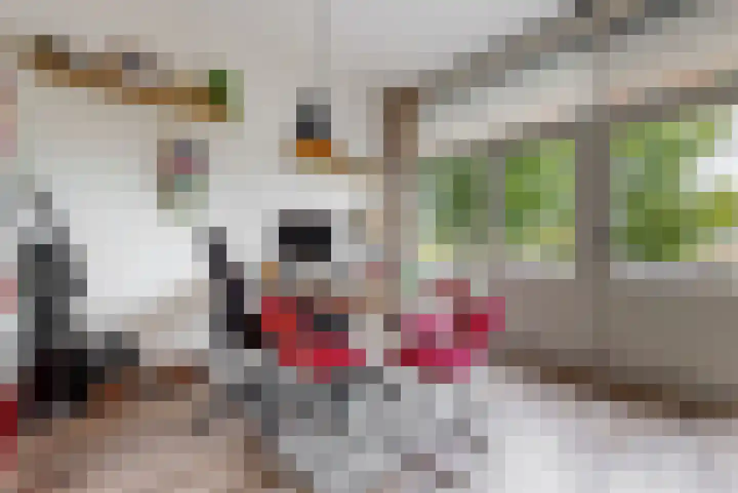 Delftse Jaagpad 7 Leiden thumbnail 25