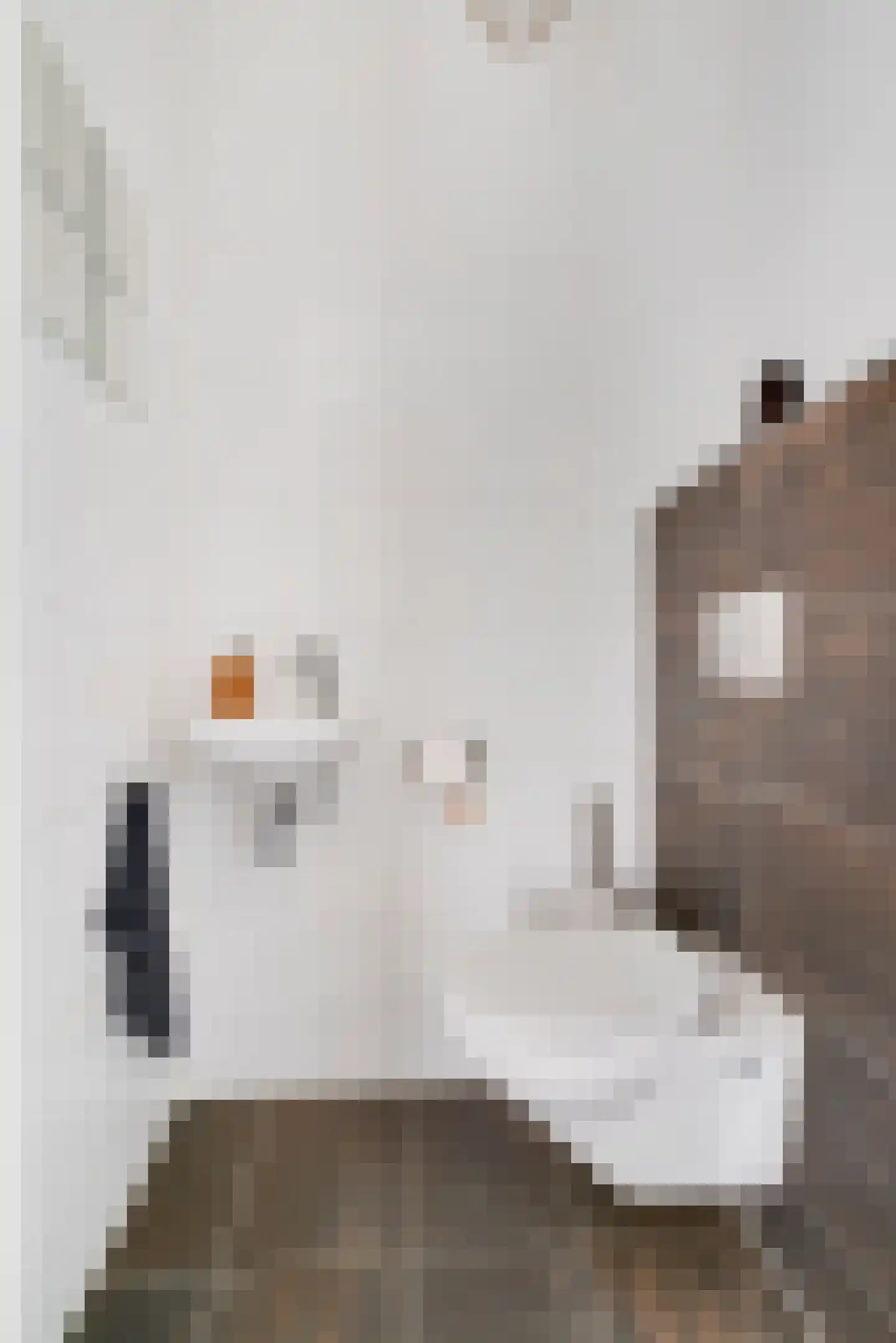 Delftse Jaagpad 7 Leiden thumbnail 27