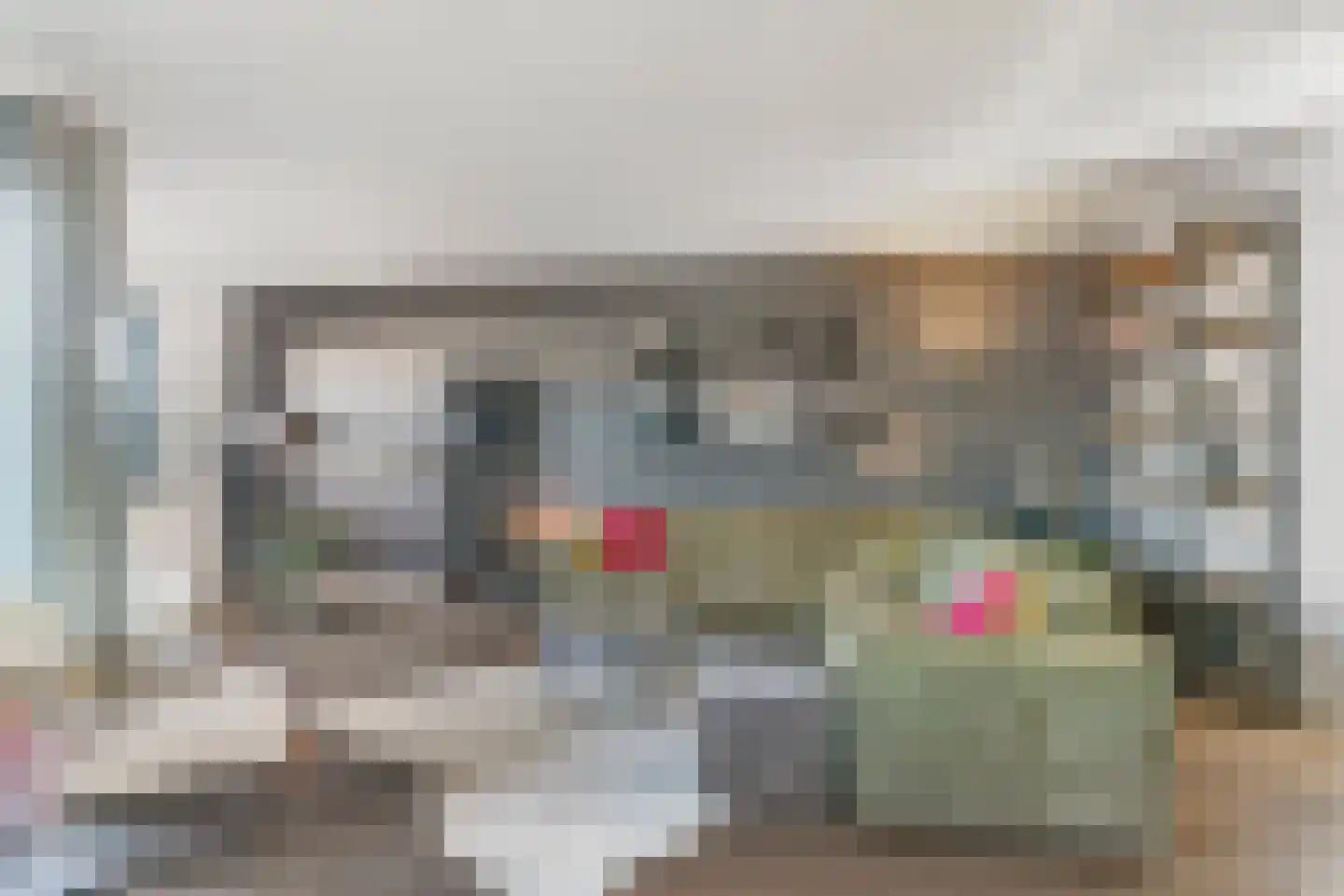 Delftse Jaagpad 7 Leiden thumbnail 30