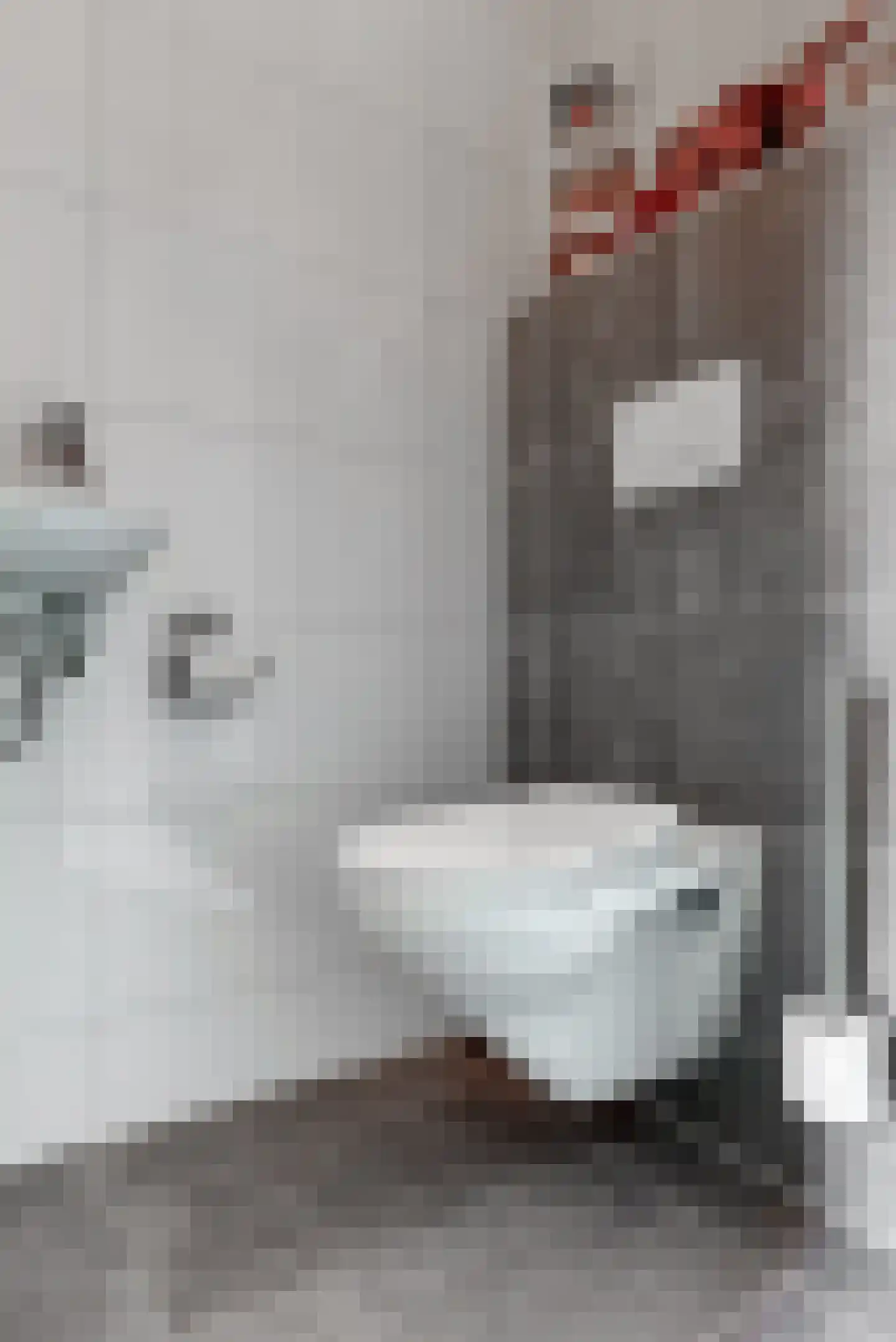 Delftse Jaagpad 7 Leiden thumbnail 31