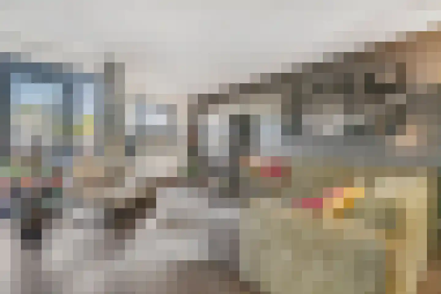 Delftse Jaagpad 7 Leiden thumbnail 31