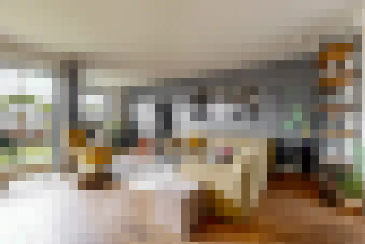 Delftse Jaagpad 7 Leiden thumbnail 33