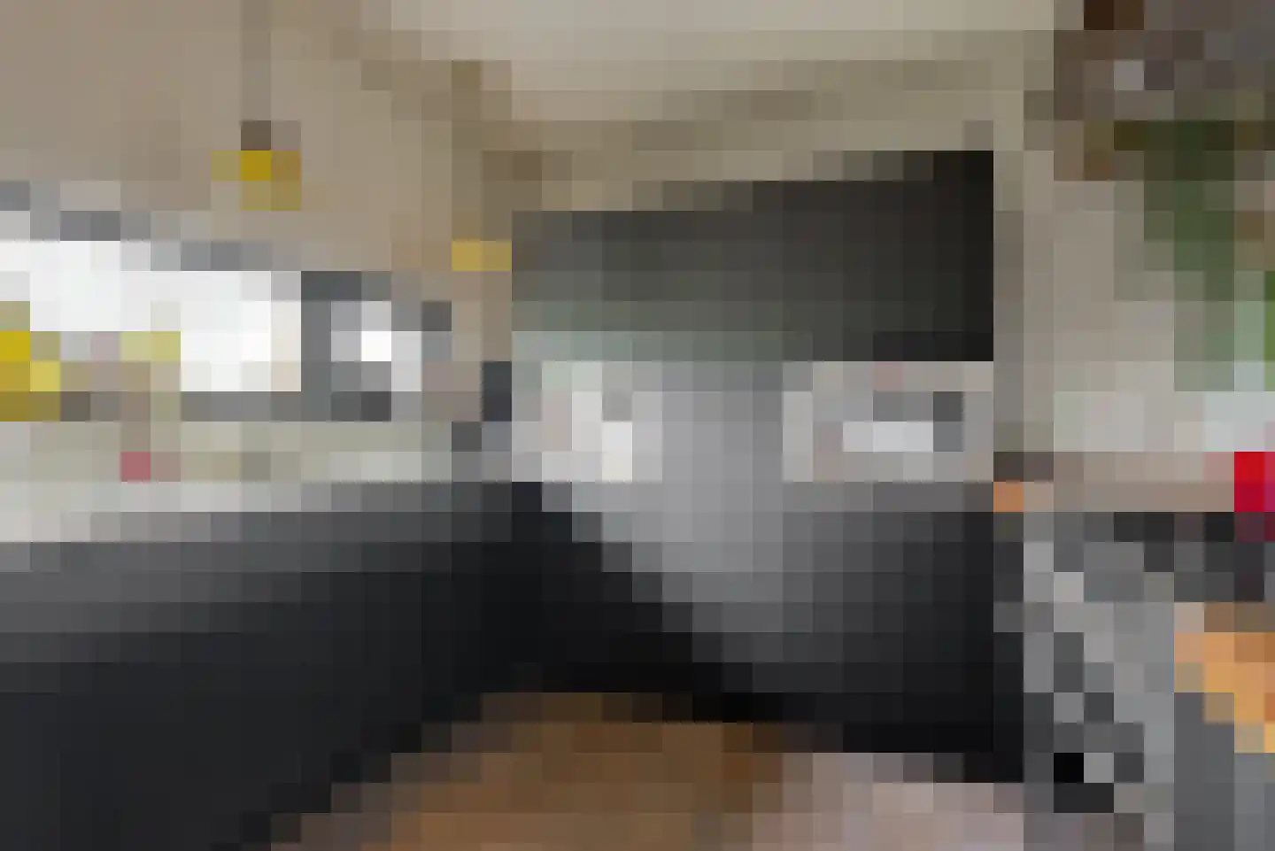 Delftse Jaagpad 7 Leiden thumbnail 39
