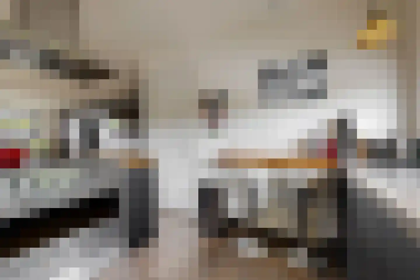Delftse Jaagpad 7 Leiden thumbnail 41