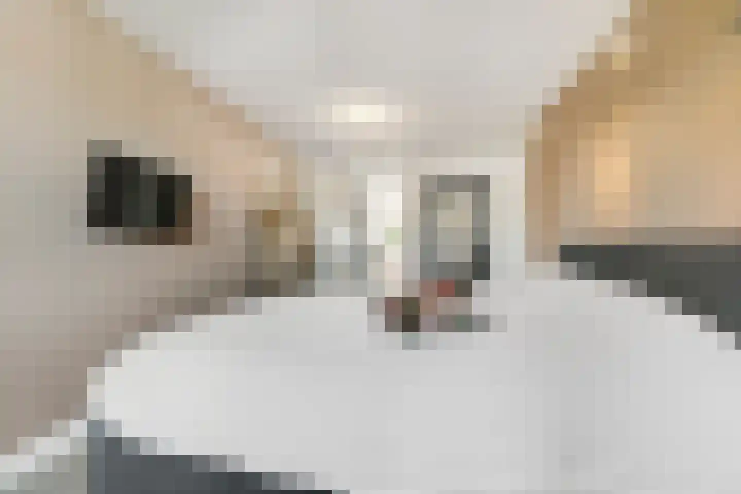 Delftse Jaagpad 7 Leiden thumbnail 41