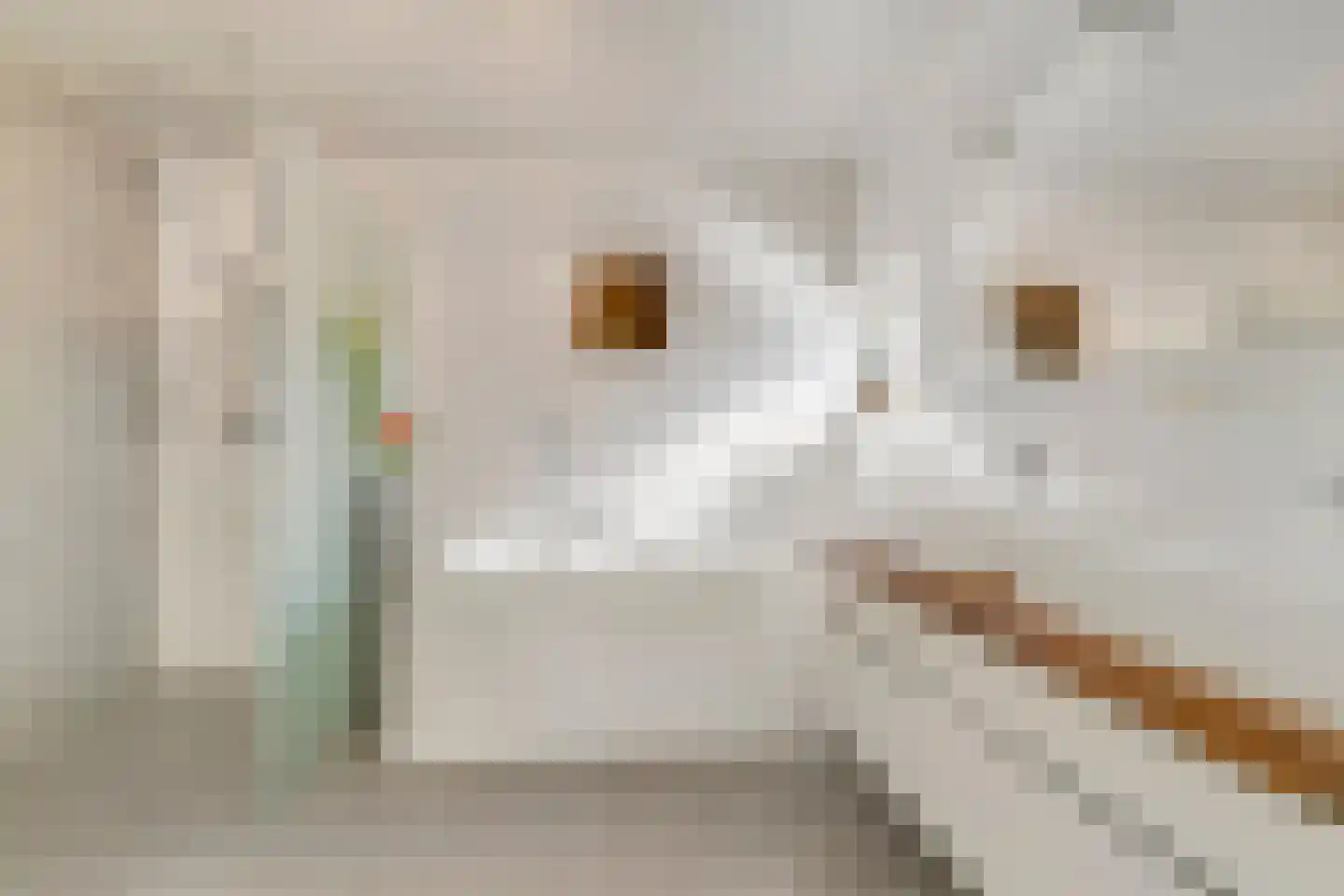 Delftse Jaagpad 7 Leiden thumbnail 42