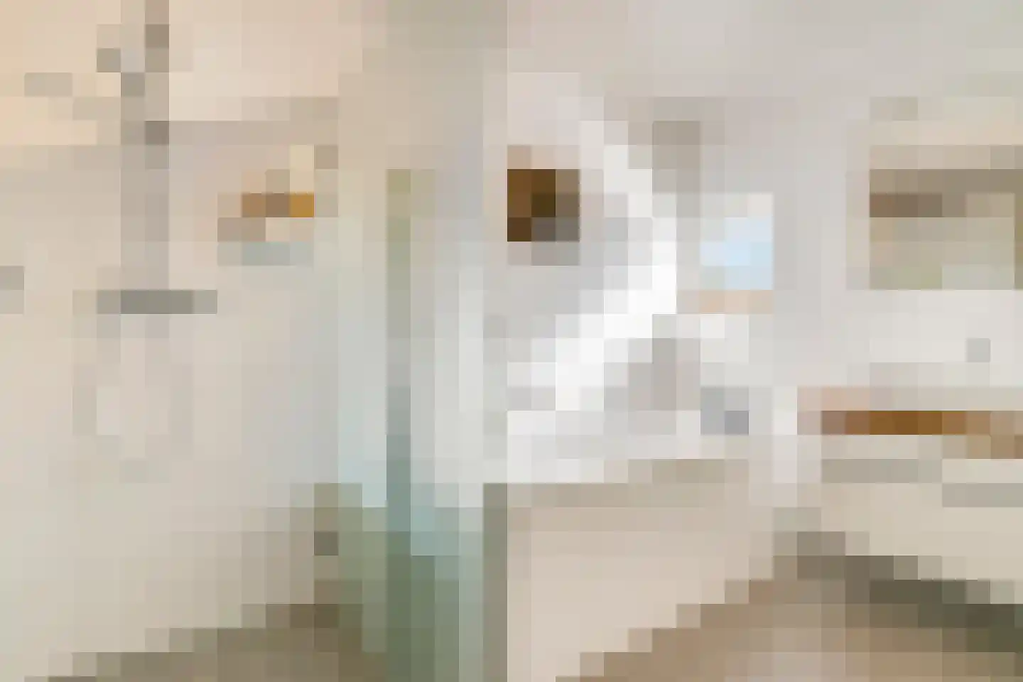 Delftse Jaagpad 7 Leiden thumbnail 43