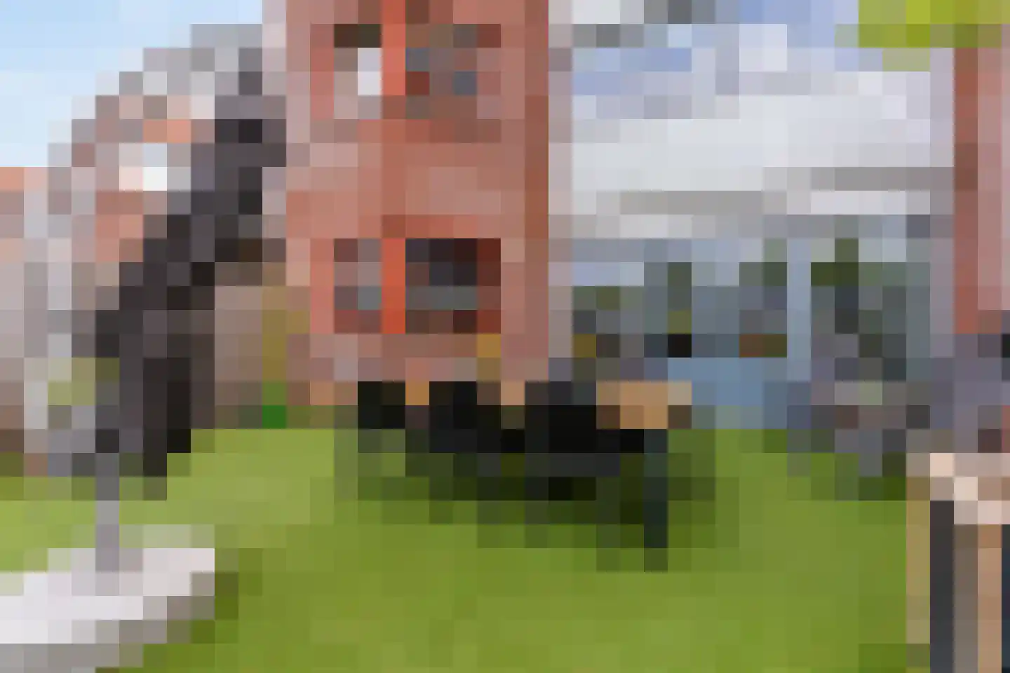 Delftse Jaagpad 7 Leiden thumbnail 46