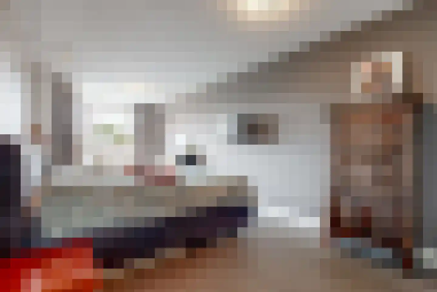 Delftse Jaagpad 7 Leiden thumbnail 53