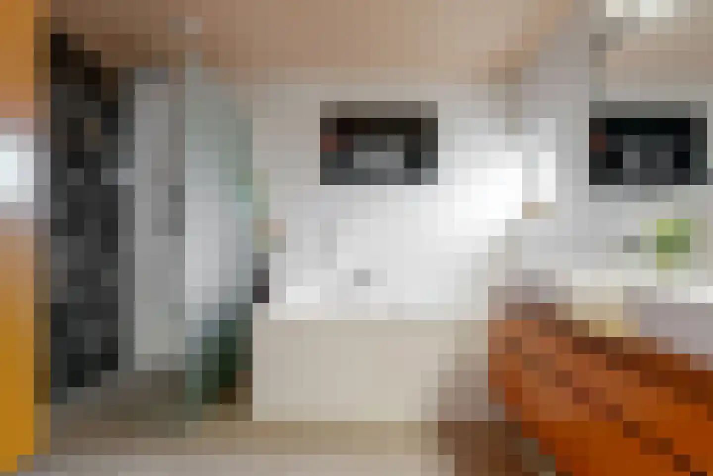Delftse Jaagpad 7 Leiden thumbnail 59