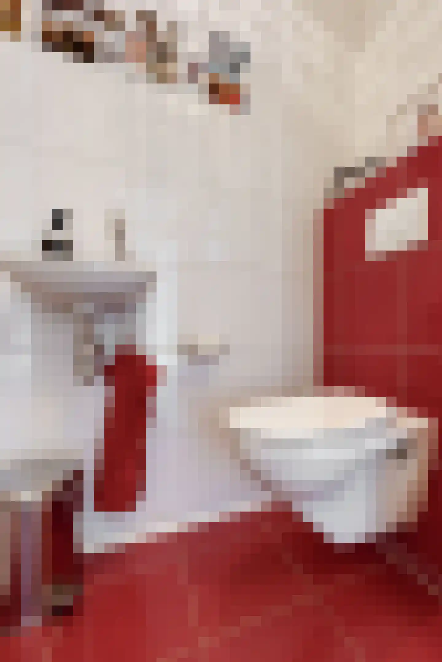 Delftse Jaagpad 7 Leiden thumbnail 6