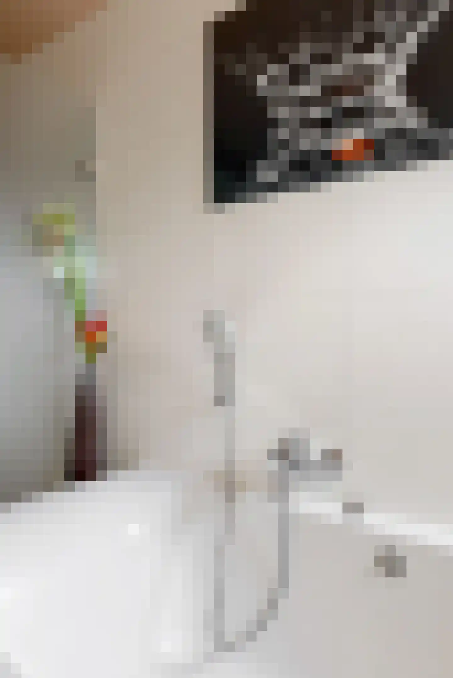 Delftse Jaagpad 7 Leiden thumbnail 60