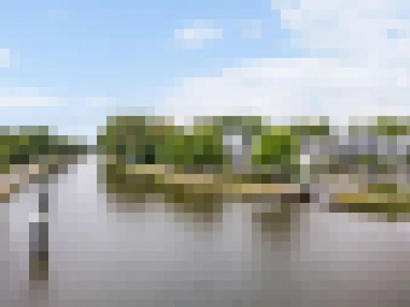 Delftse Jaagpad 7 Leiden thumbnail 69