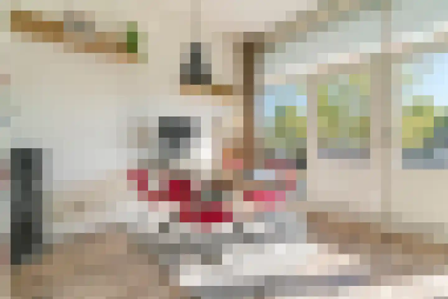 Delftse Jaagpad 7 Leiden thumbnail 7