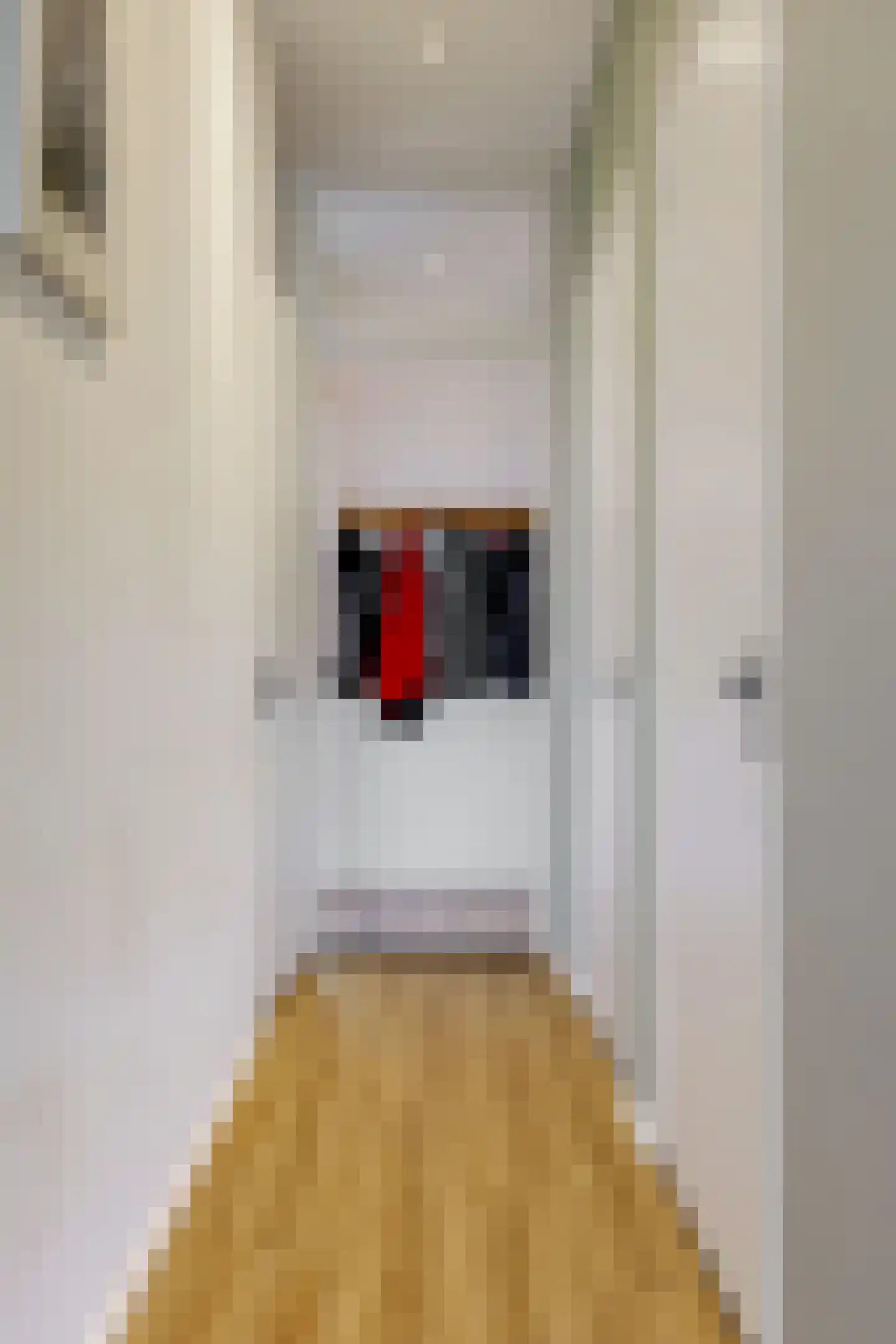 Delftse Jaagpad 7 Leiden thumbnail 7