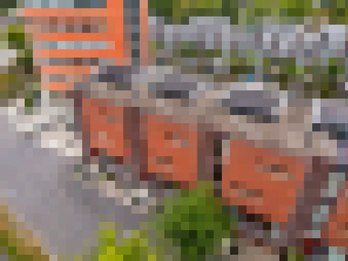 Delftse Jaagpad 7 Leiden thumbnail 72