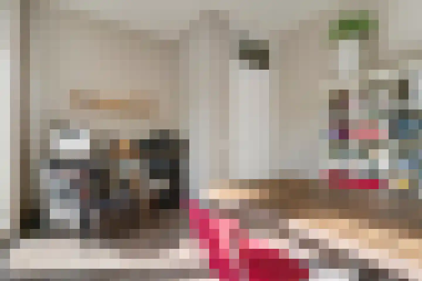 Delftse Jaagpad 7 Leiden thumbnail 8