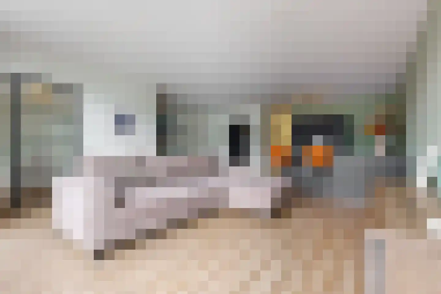 Delftse Jaagpad 7 Leiden thumbnail 8