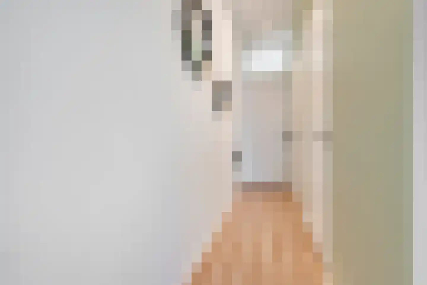 Delftse Jaagpad 7 Leiden thumbnail 9