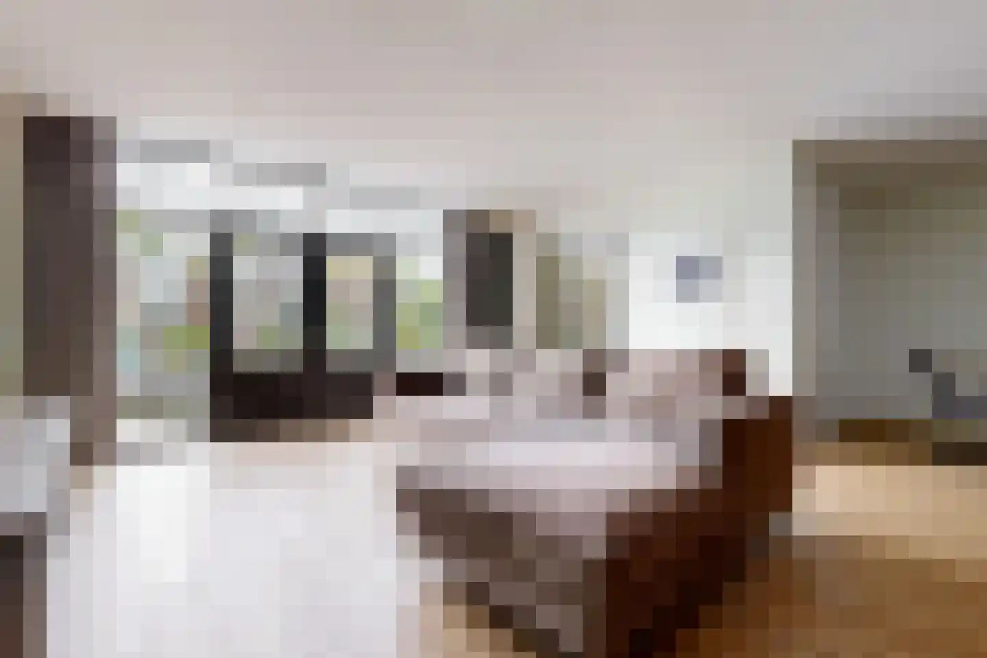 Delftse Jaagpad 7 Leiden thumbnail 9