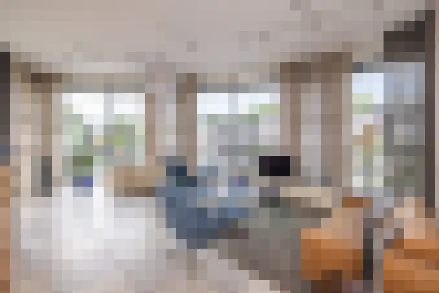 Delftse Jaagpad 9 Leiden thumbnail 18